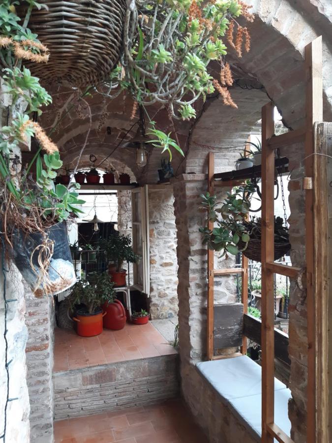 Attic With Balcony At Locanda Del Capo Capannori Extérieur photo